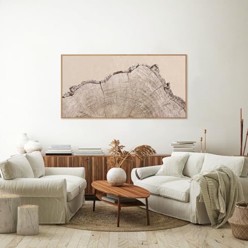 Large Tree Ring Framed Canvas Wall Art