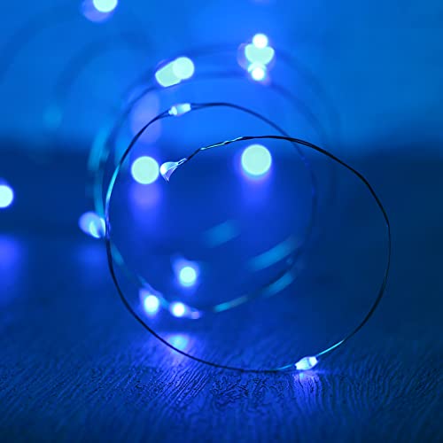 Waterproof LED Fairy String Lights (10 Foot)