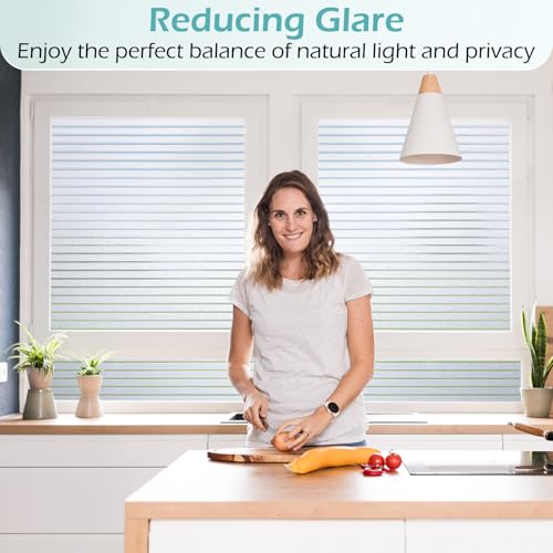 Window Privacy Film (25.83 Sq Ft)