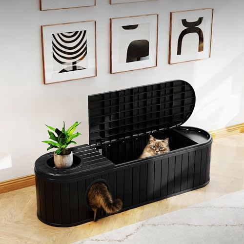 Outdoor Storage Box