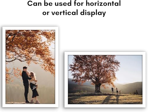 16x24 Poster Frame