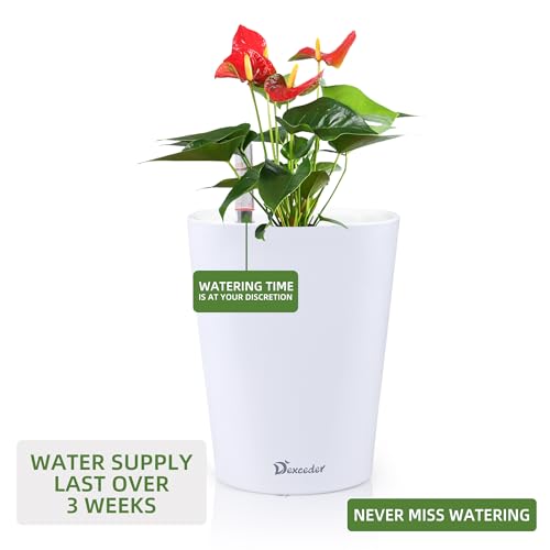 6x7 Self Watering Planter