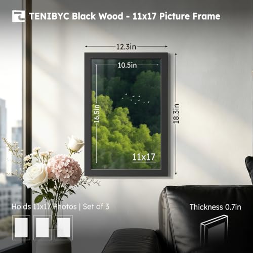 11x17 Picture Frame 3 Pack (3 Count)