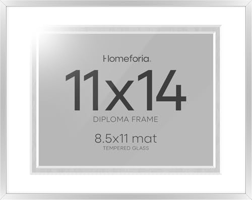 11x14 Silver Diploma Frame (2 Count)