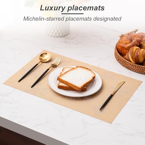 Placemats Set of 4 Washable Indoor (4 Count)