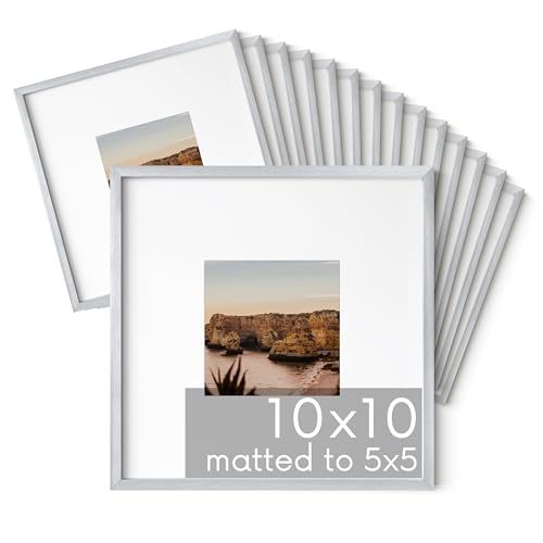 10x10 Silver Metal Picture Frames Matted to 5x5