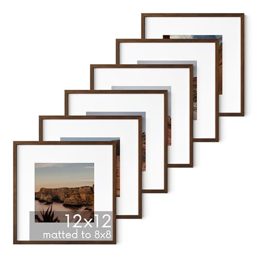 Walnut Oak Wood 12x12 Picture Frames (6 Count)