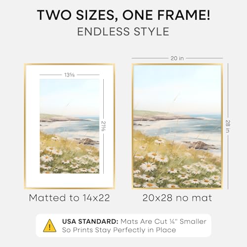 20x28 Gold Picture Frame