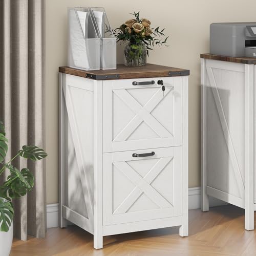 Vertical File Cabinet with 2 Drawers