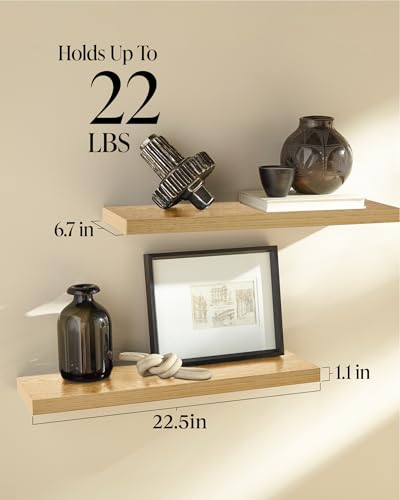 Floating Shelves for Wall