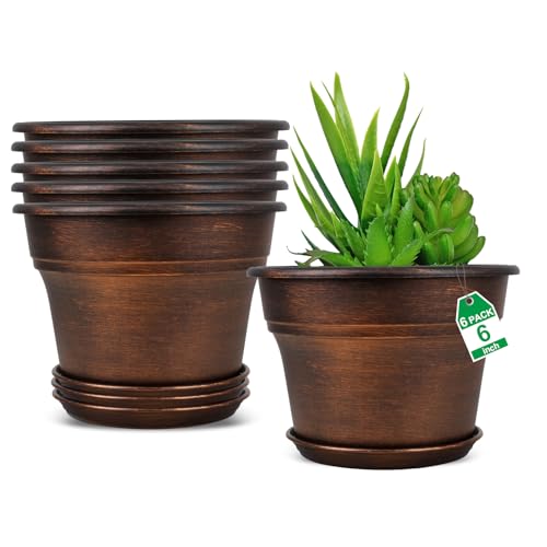 Plant Planters Pots Set of 6 Pack 6 Inch (6 Count)