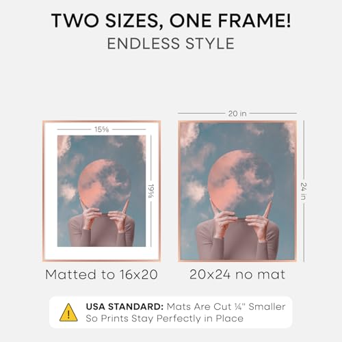 20x24 Rose Picture Frame