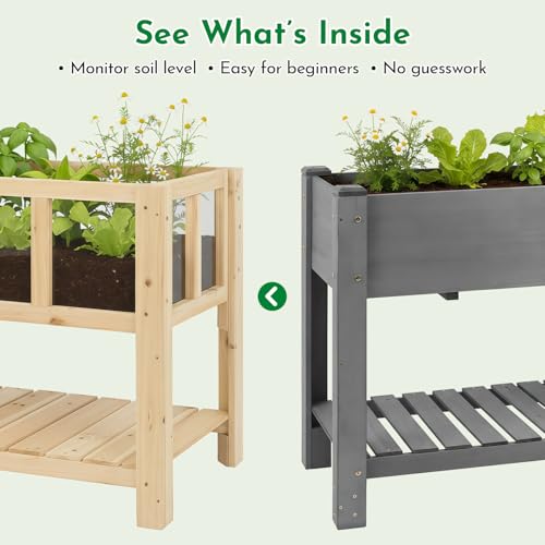 Raised Garden Bed with Transparent Acrylic Side Panels
