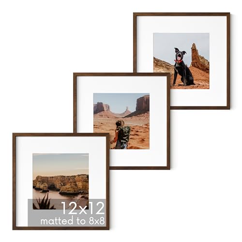 Walnut Square Frames 12x12 Matted to 8x8 (3 Count)