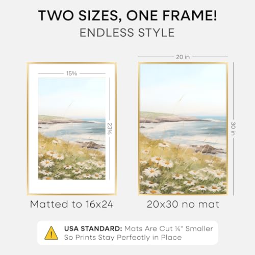 20x30 Gold Picture Frame