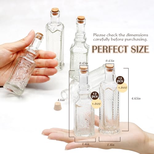 24 pcs Small Mini Clear Vintage Glass Bottles with Corks (24 Count)