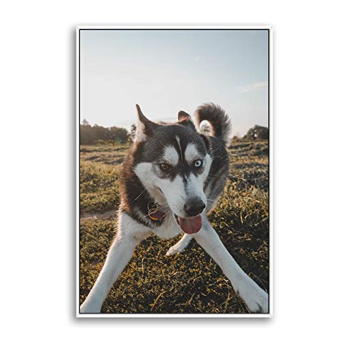 Custom Framed Canvas Prints with Your Photo for Pets