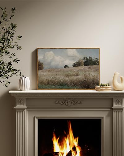 Framed Canvas Wall Art Vintage Decor