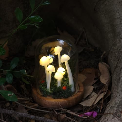 Mushroom Lamp (20 Count)