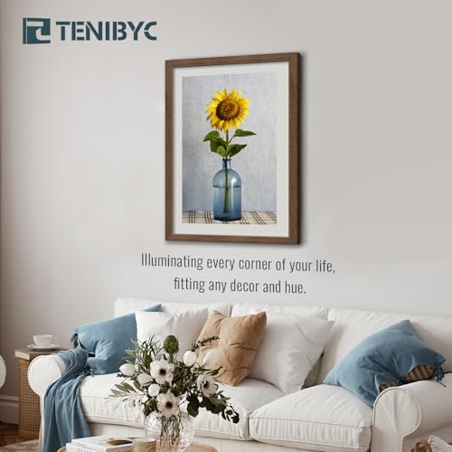 20x30 Poster Frame (3 Count)
