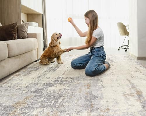 6x9 Area Rug Living Room Rugs (54 Sq Ft)