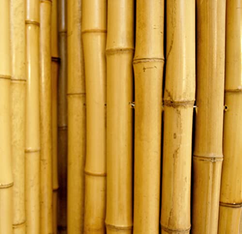Natural Bamboo Fencing Decorative Rolled Fence Panel 0.75 in D x 3 ft H x 8 ft L (24 Sq Ft)