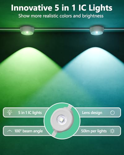 Permanent Outdoor Lights Pro 100ft (100 Foot)