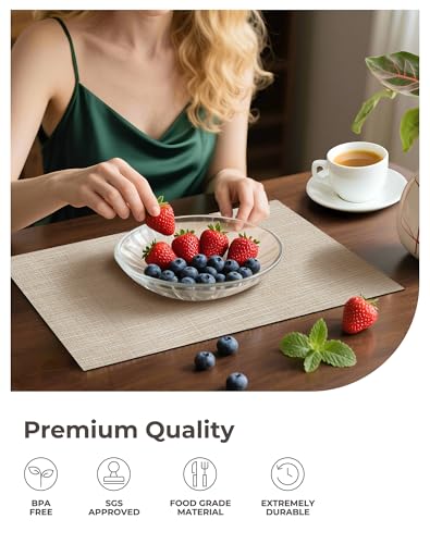 Woven Vinyl Beige Placemats Set of 8 (8 Count)