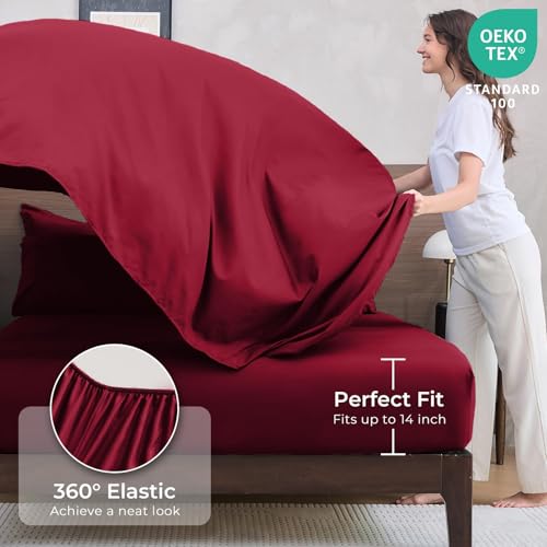 7 Piece Queen Comforter Set (7 Count)