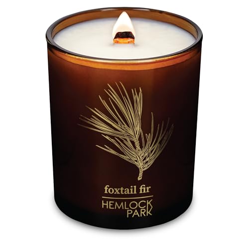 Foxtail Fir Amber & Gold Crackling Wood Wick Candle (7.2 Ounce)