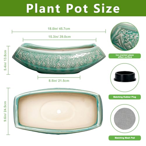 Bonsai Tree Pot