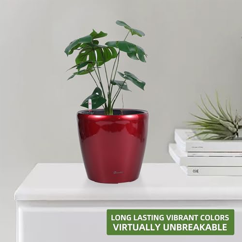 11x10 Self Watering Planter
