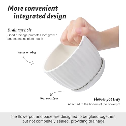 Ceramic Plant Pots with Saucers (3 Count)
