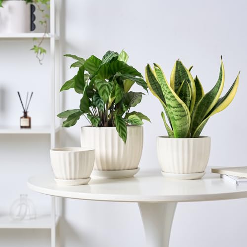 4/5/6 Inches White Ceramic Plant Pots with Drainage Holes and Saucer (3 Count)