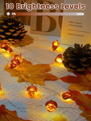 2 Pack 30 LED Acorn Fall Decorations