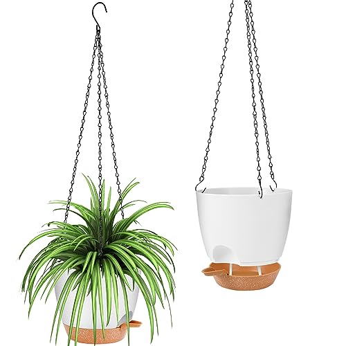 hanging planter (2 Count)