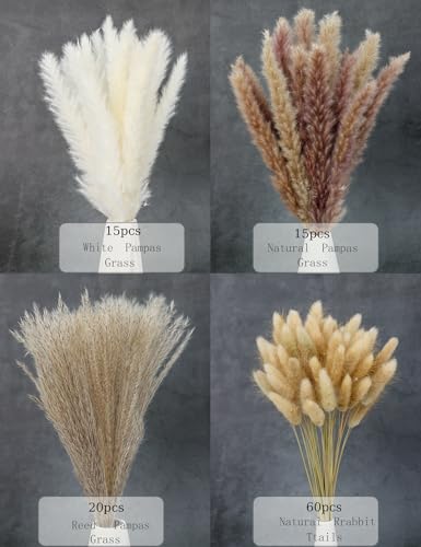 110pcs Dried Pampas Grass (110 Count)