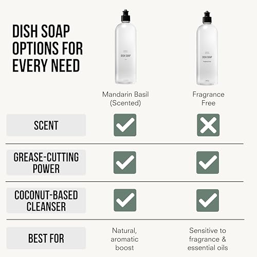 Natural Fragrance Free Dish Soap (16 Fl Oz)