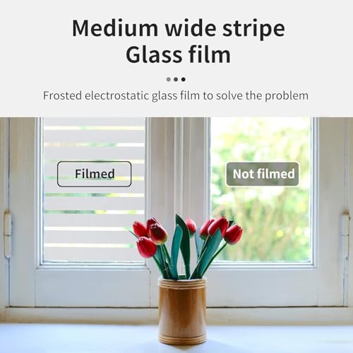 Window Privacy Film Striped with Tools