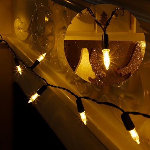16 Ft 50 LEDs Warm White Christmas String Lights