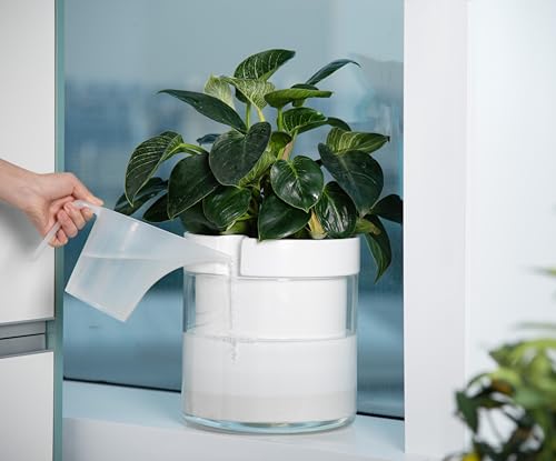 10 Inch Self Watering Planter