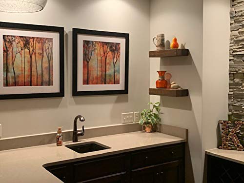 x2 18 Inch Wooden Floating Shelves for Wall (2 Count)