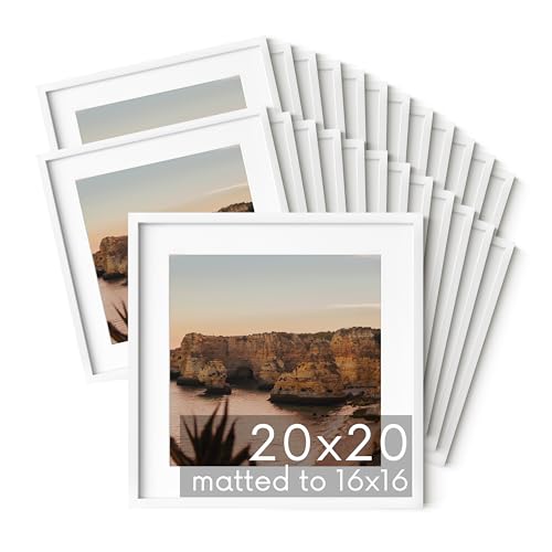 20x20 White Metal Picture Frames Matted to 16x16