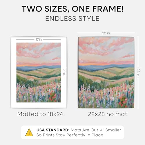 22x28 Silver Poster Frame (2 Count)