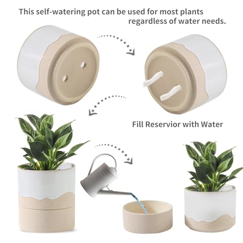 Self Watering Ceramic Planter