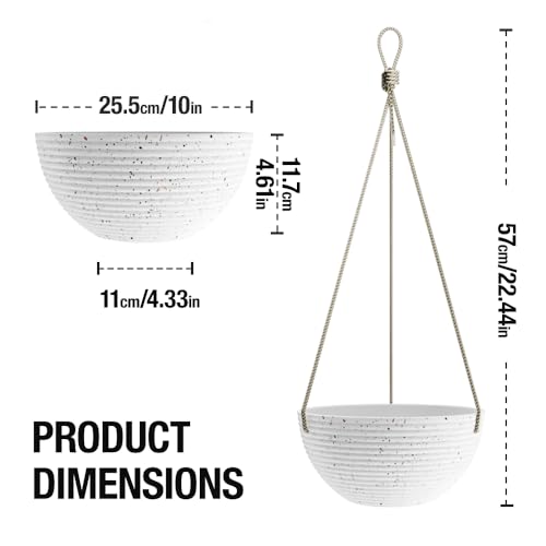 2 Pack Hanging Planter (2 Count)