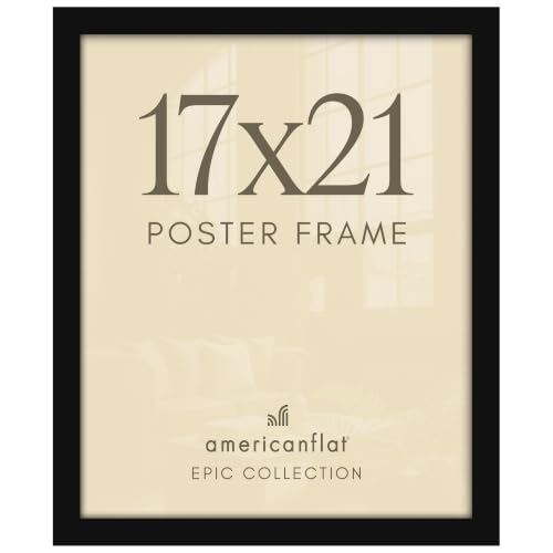 17x21 Poster Frame