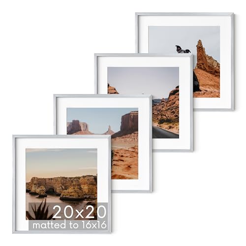 20x20 Silver Metal Picture Frames Matted to 16x16