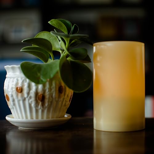 Outdoor Battery Operated Flameless LED Pillar Candle with Timer D3”xH4”