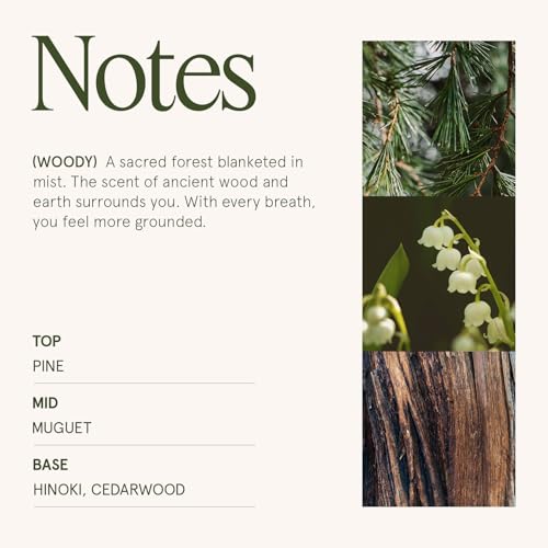 Pine & Hinoki Cypress Scented Candles for Home